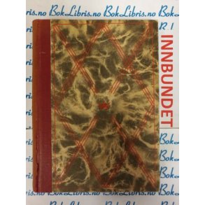 Tora Feuk - Storm over Brviken (I)