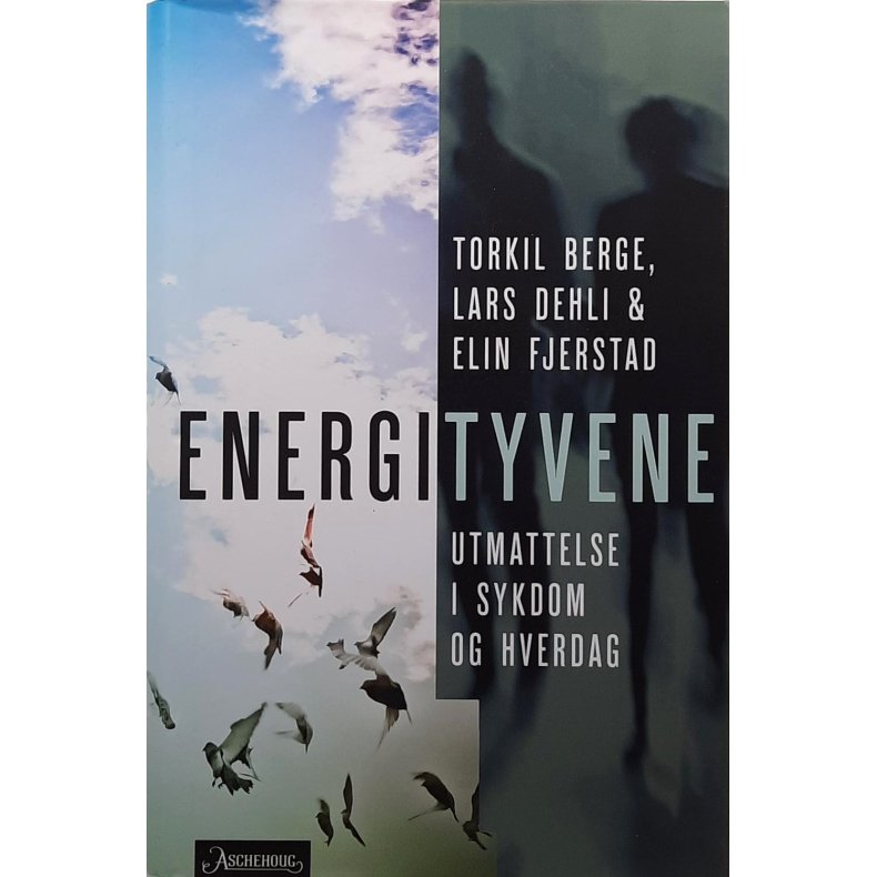 Torkil Berge m.fl. - Energityvene - Utmattelse i sykdom og hverdag