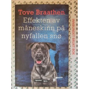 Tove Braathen - Effekten av mneskinn p nyfallen sn