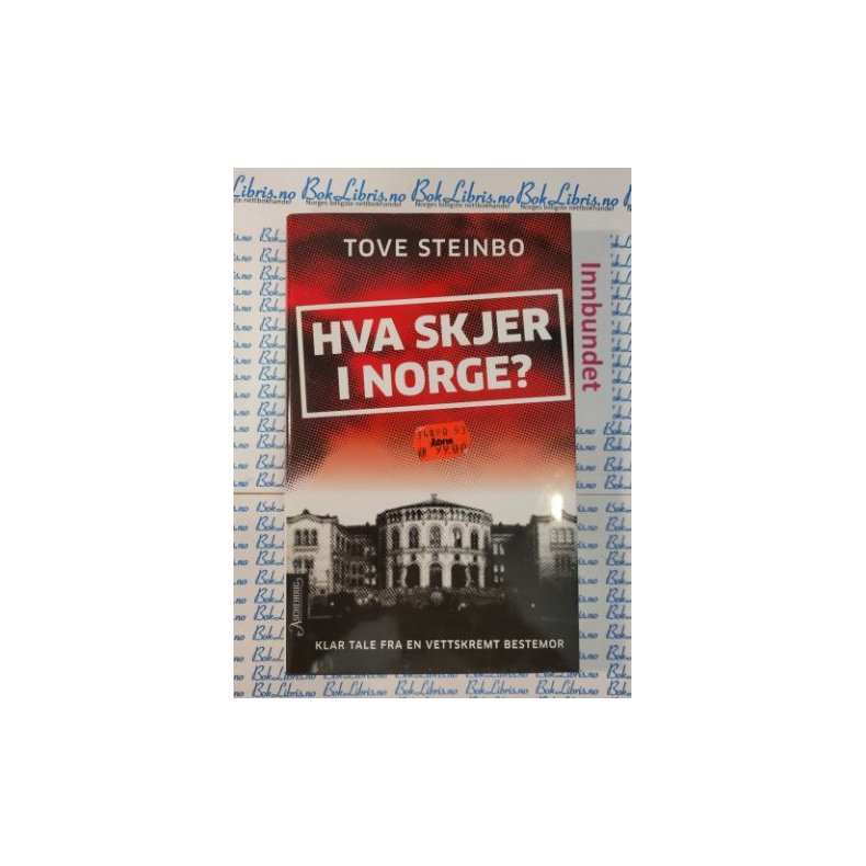 Tove Steinbo - Hva skjer i Norge?