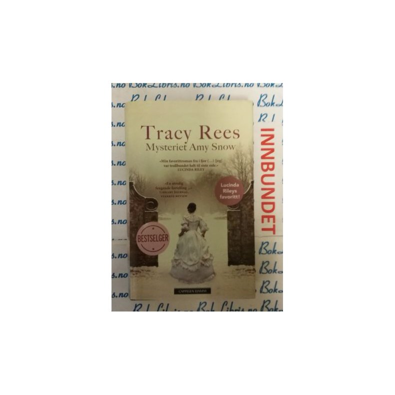 Tracy Rees - Mysteriet Amy Snow