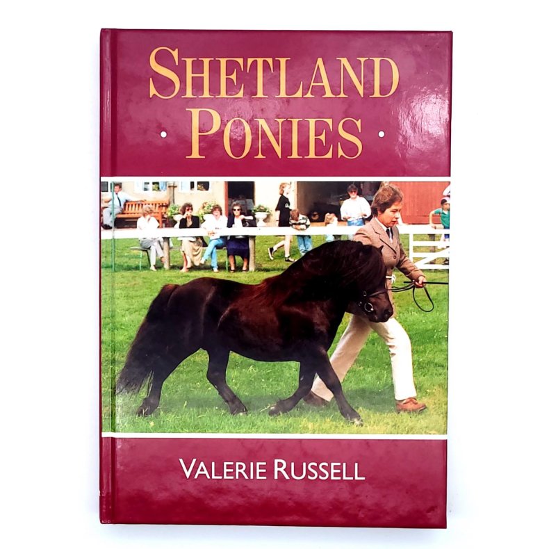 Valerie Russell - Shetlands Ponies