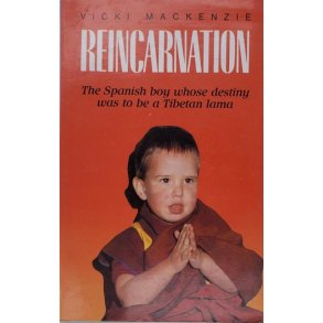 Vicki Mackenzie - Reincarnation