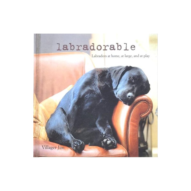 Villager Jim - Labradorable