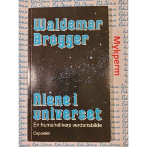 Waldemar Brgger - Alene i universet