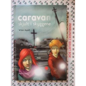 Widar Aspeli - Caravan skjult i skyggene