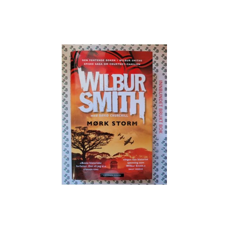 Wilbur Smith - Mrk storm