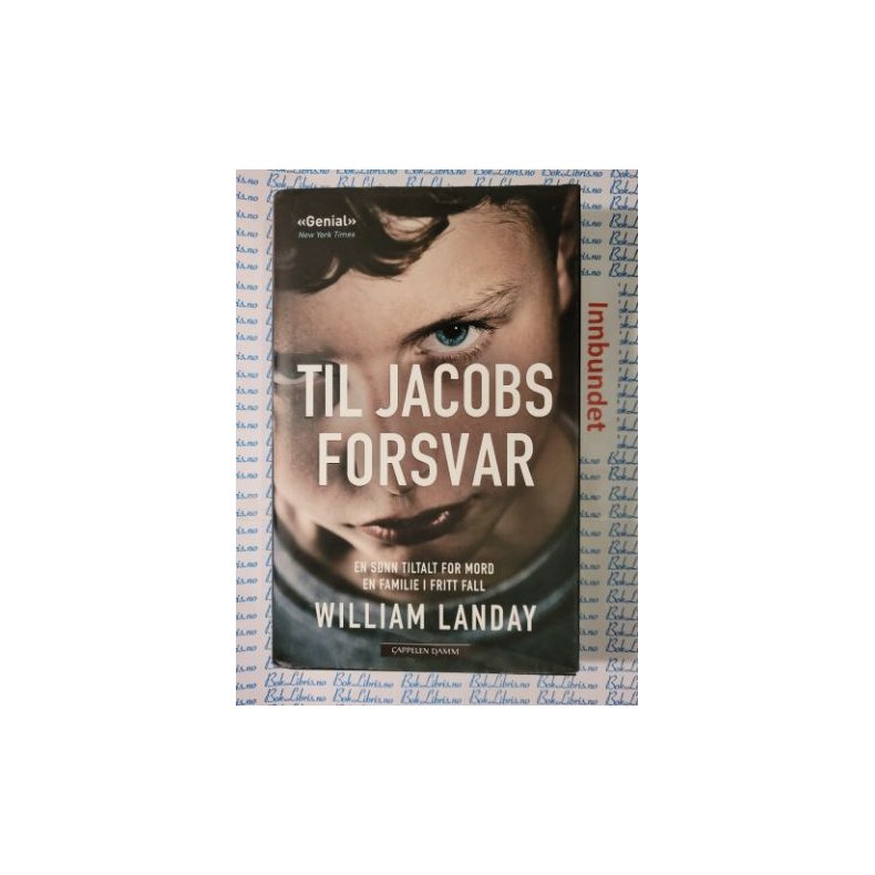 William Landay - Til Jacobs forsvar (I)