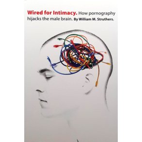 William M. Struthers - Wired For Intimacy: How Pornography Hijacks The Male Brain