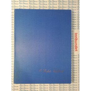 Willy Greiner Jr. - A/S Skafs kraftverk