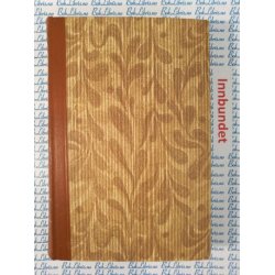 Yngvar Hauge - Carl Johan. Tronflger og Konge