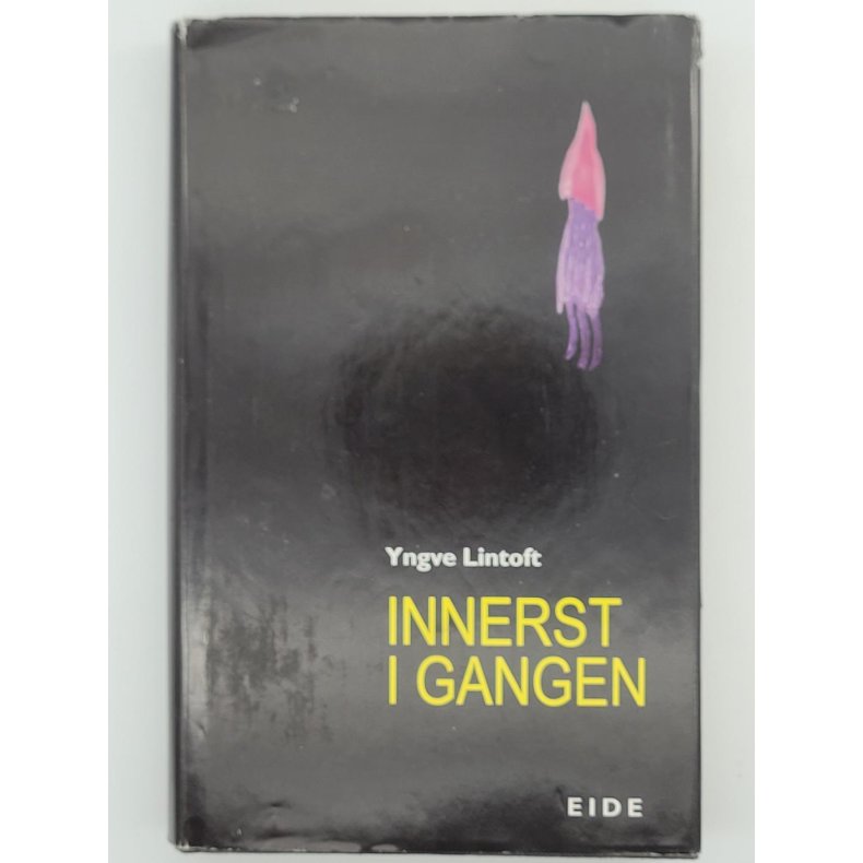 Yngve Lintoft - Innerst i gangen