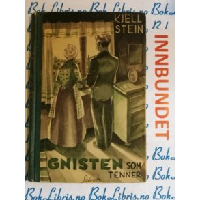 Kjell Stein - Gnisten som tenner
